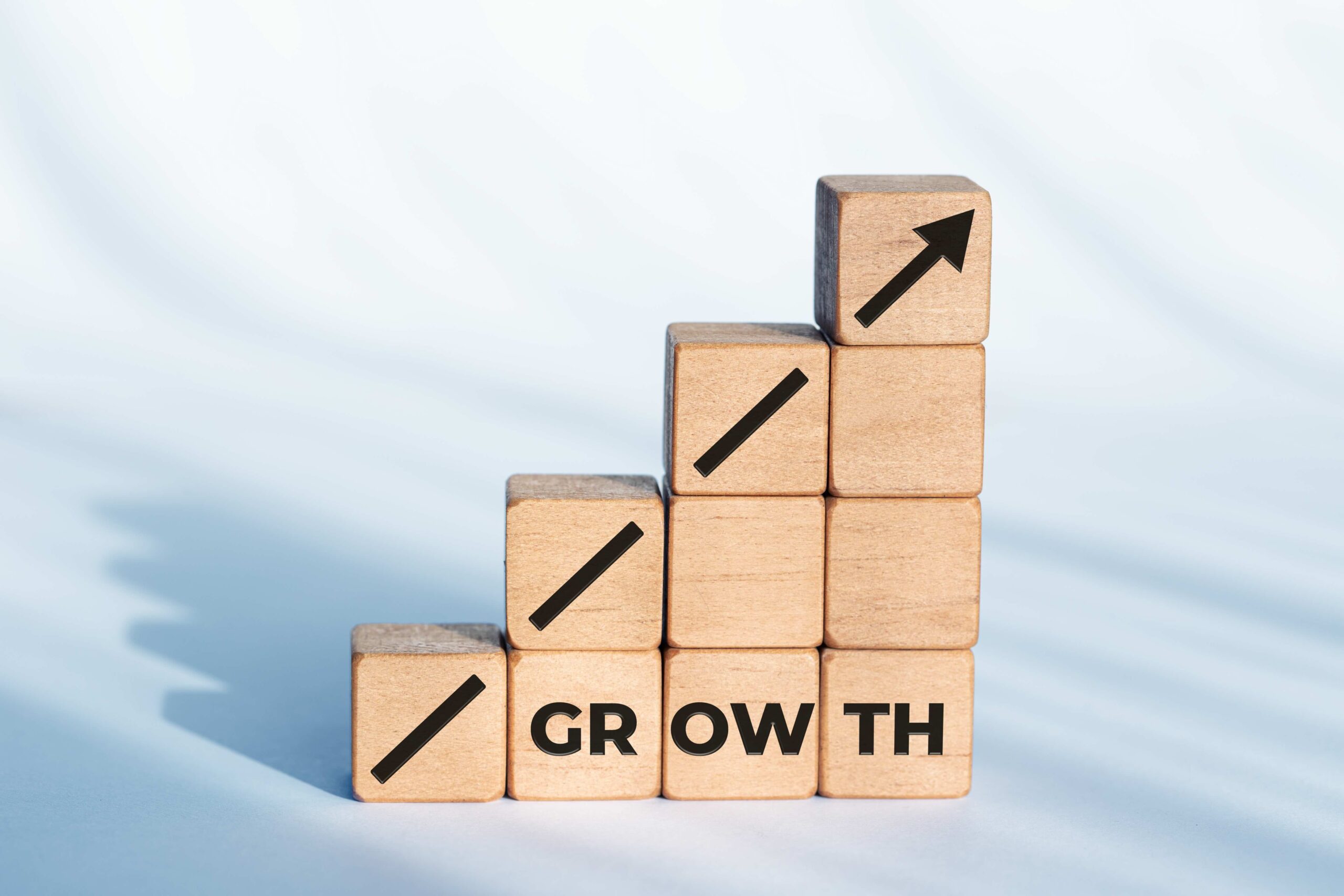 Piilo Consulting: Automate or reinvent your business for the future?